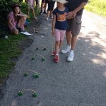 phoca_thumb_m_pohdkov les 37 Fotogalerie